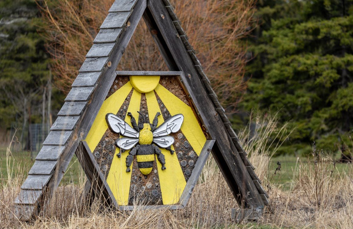 Fotografija: Ilustracija